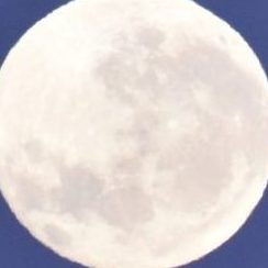 Alyssa in Antarctica